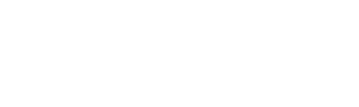Dalarnas Museum Logo Vit